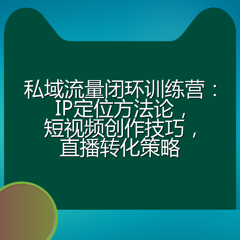 私域流量闭环训练营：IP定位方法论，短视频创作技巧，直播转化策略