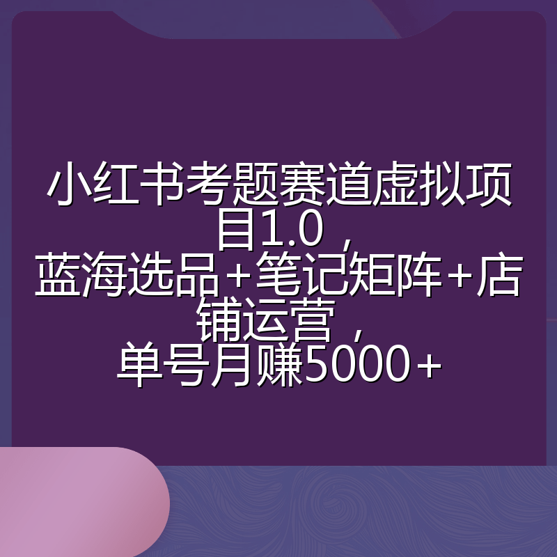 小红书考题赛道虚拟项目1.0,蓝海选品+笔记矩阵+店铺运营,单号月赚5000+