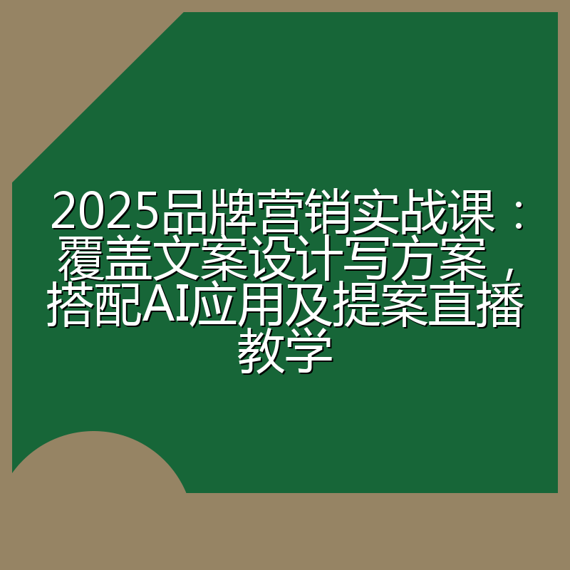 2025品牌营销实战课:覆盖文案设计写方案,搭配AI应用及提案直播教学