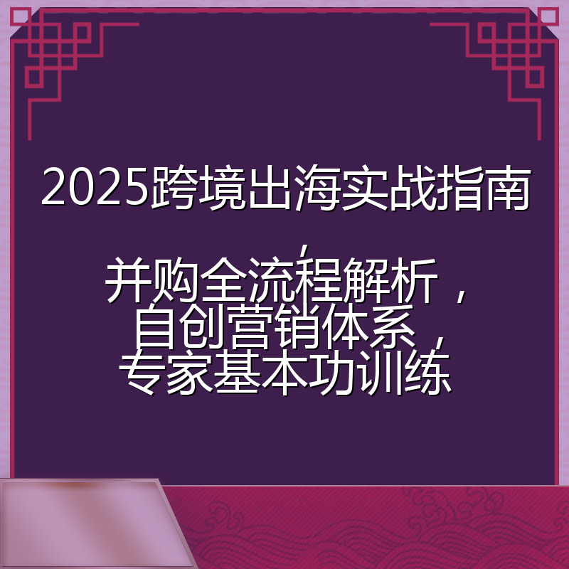 2025跨境出海实战指南,并购全流程解析,自创营销体系,专家基本功训练