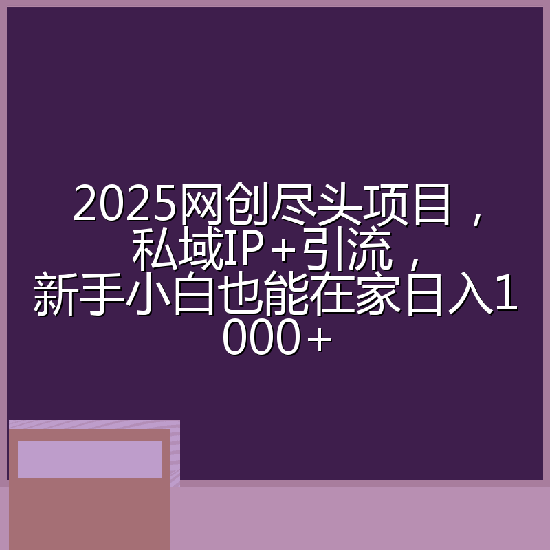 2025网创尽头项目,私域IP+引流,新手小白也能在家日入1000+