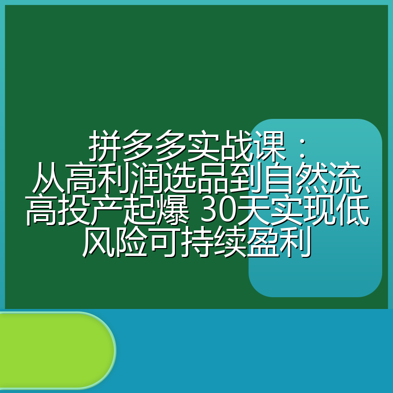 拼多多实战课：从高利润选品到自然流高投产起爆 30天实现低风险可持续盈利