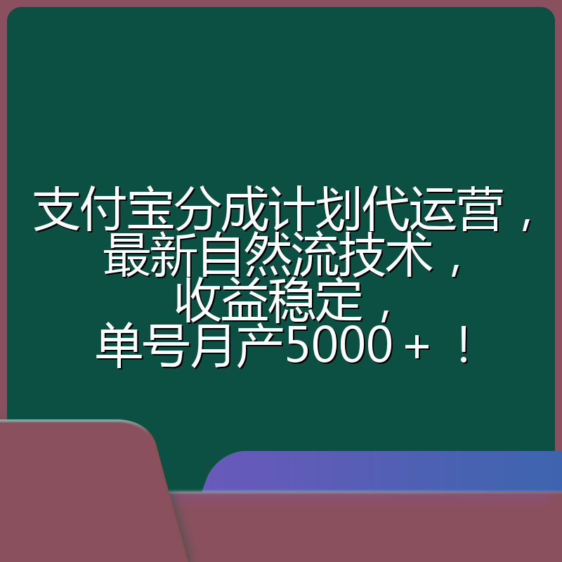 支付宝分成计划代运营,最新自然流技术,收益稳定,单号月产5000+!