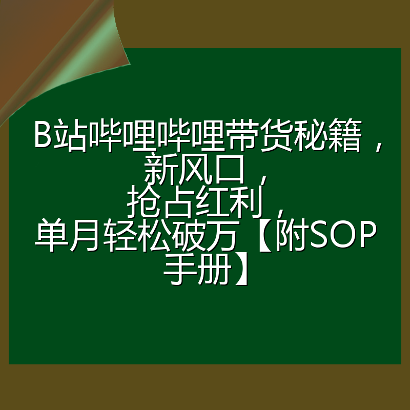 B站哔哩哔哩带货秘籍，新风口，抢占红利，单月轻松破万【附SOP手册】