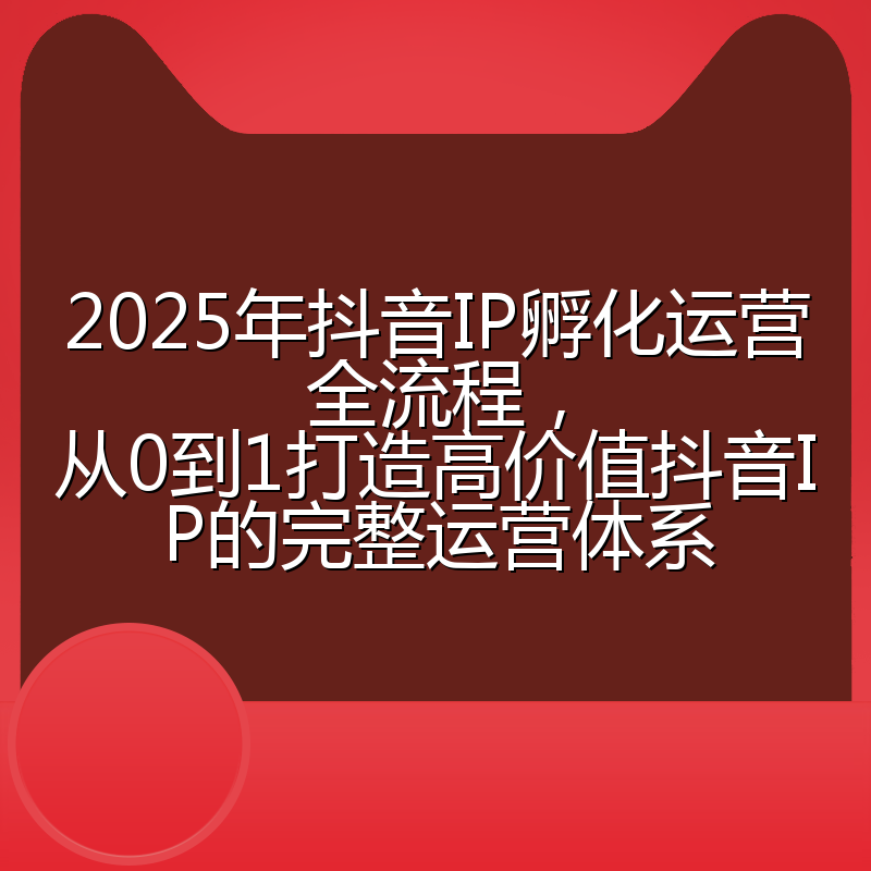 2025年抖音IP孵化运营全流程,从0到1打造高价值抖音IP的完整运营体系