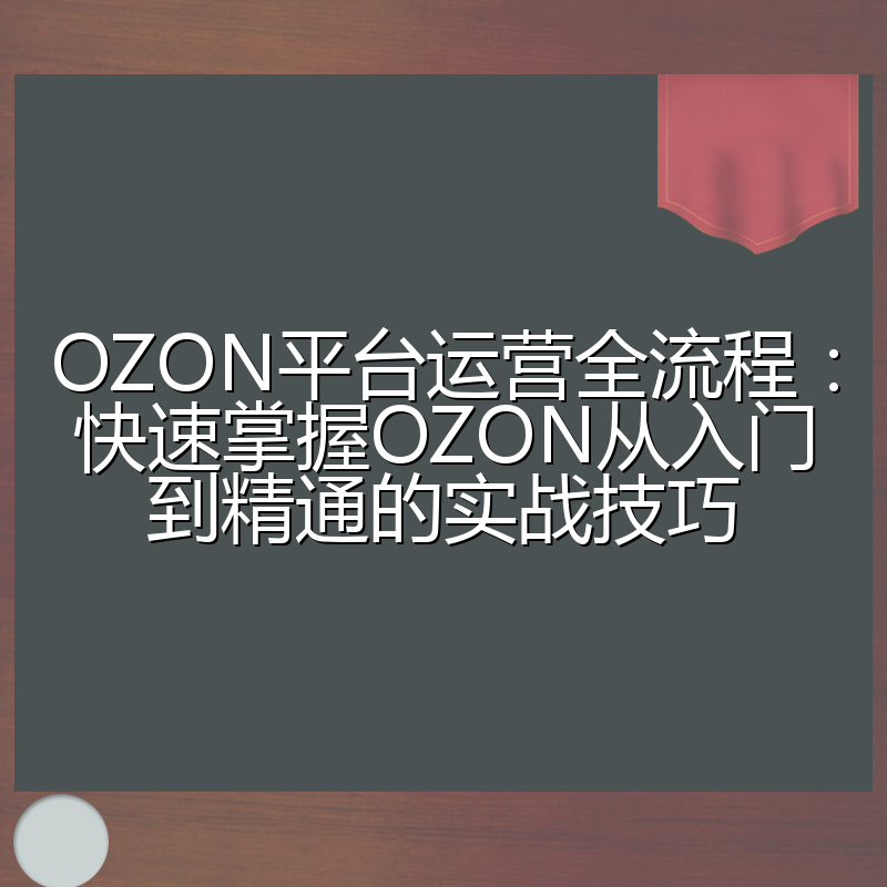 OZON平台运营全流程:快速掌握OZON从入门到精通的实战技巧