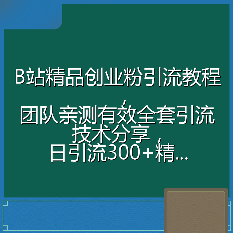 B站精品创业粉引流教程,团队亲测有效全套引流技术分享,日引流300+精...