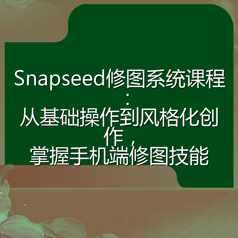 Snapseed修图系统课程：从基础操作到风格化创作，掌握手机端修图技能