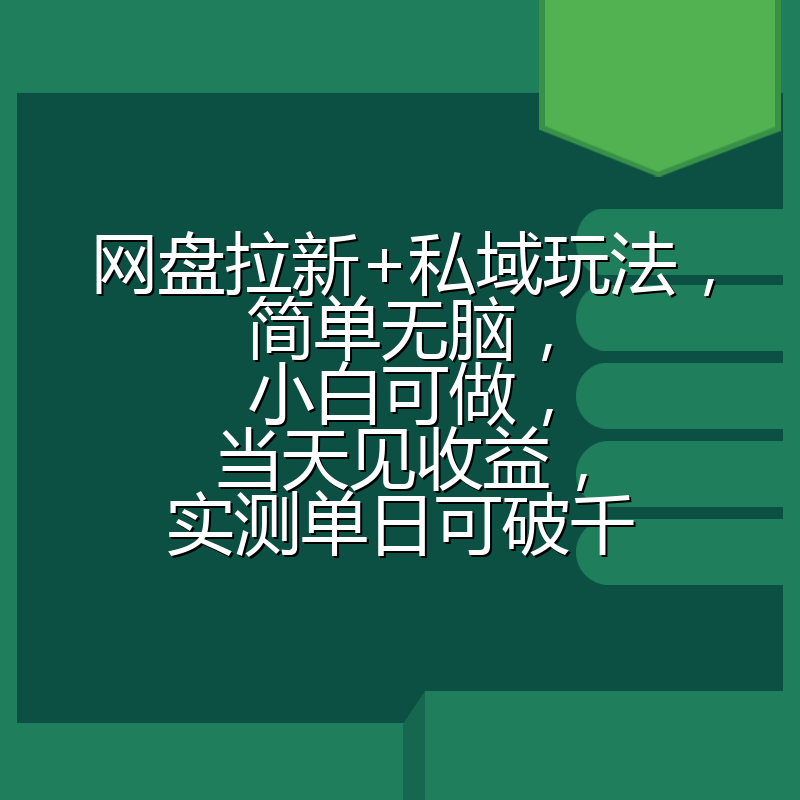 网盘拉新+私域玩法，简单无脑，小白可做，当天见收益，实测单日可破千