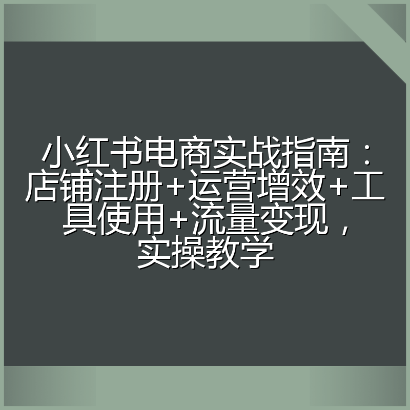 小红书电商实战指南:店铺注册+运营增效+工具使用+流量变现,实操教学