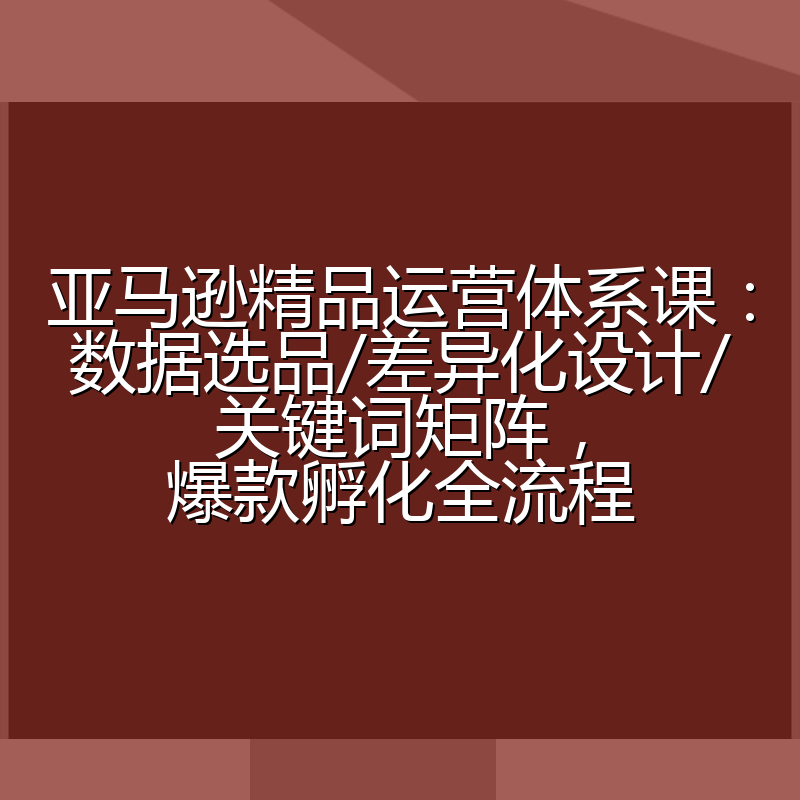 亚马逊精品运营体系课:数据选品/差异化设计/关键词矩阵,爆款孵化全流程