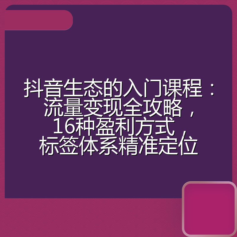抖音生态的入门课程:流量变现全攻略,16种盈利方式,标签体系精准定位