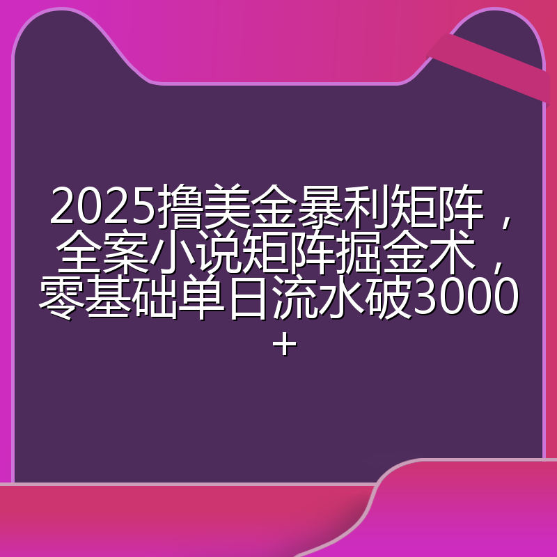 2025撸美金暴利矩阵,全案小说矩阵掘金术,零基础单日流水破3000+