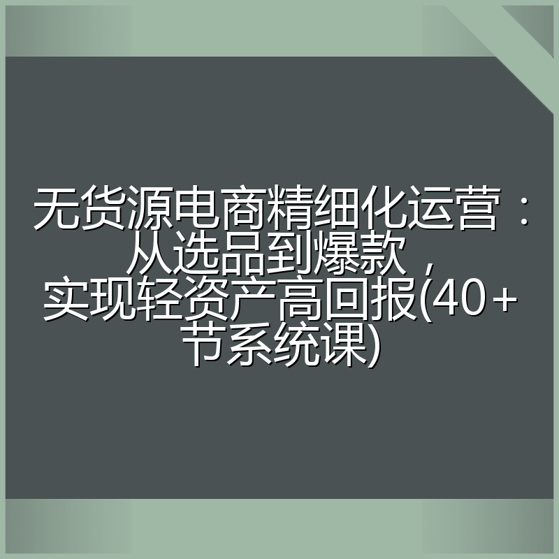 无货源电商精细化运营:从选品到爆款,实现轻资产高回报(40+节系统课)