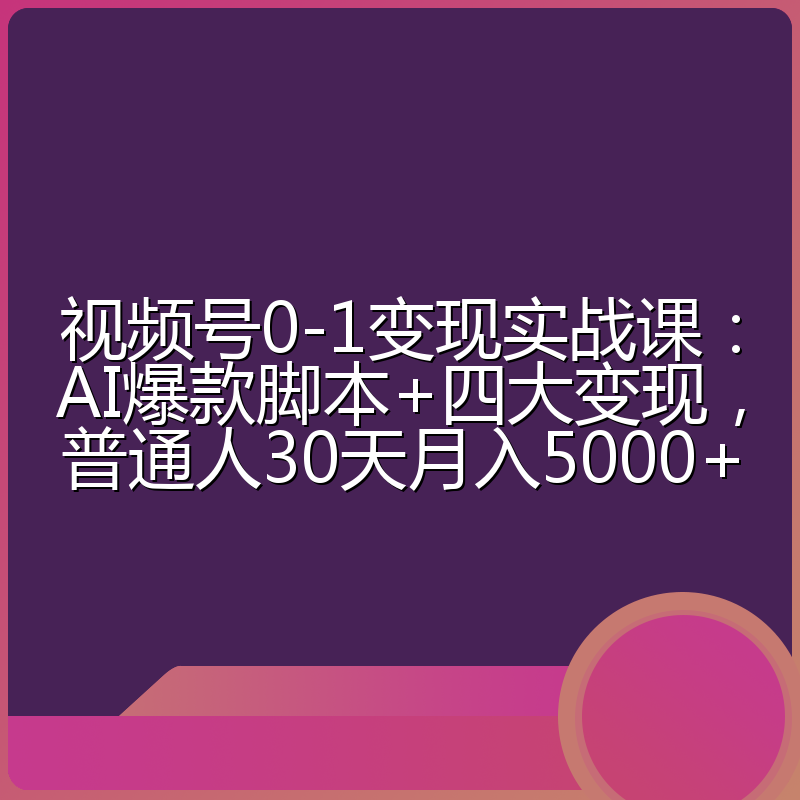 视频号0-1变现实战课:AI爆款脚本+四大变现,普通人30天月入5000+