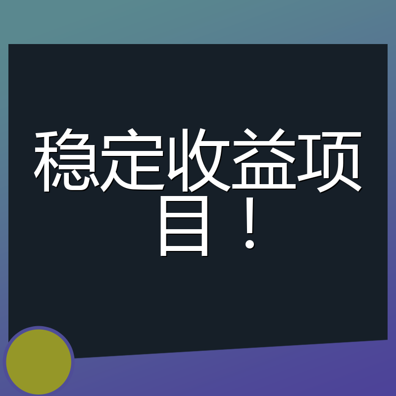 稳定收益项目!