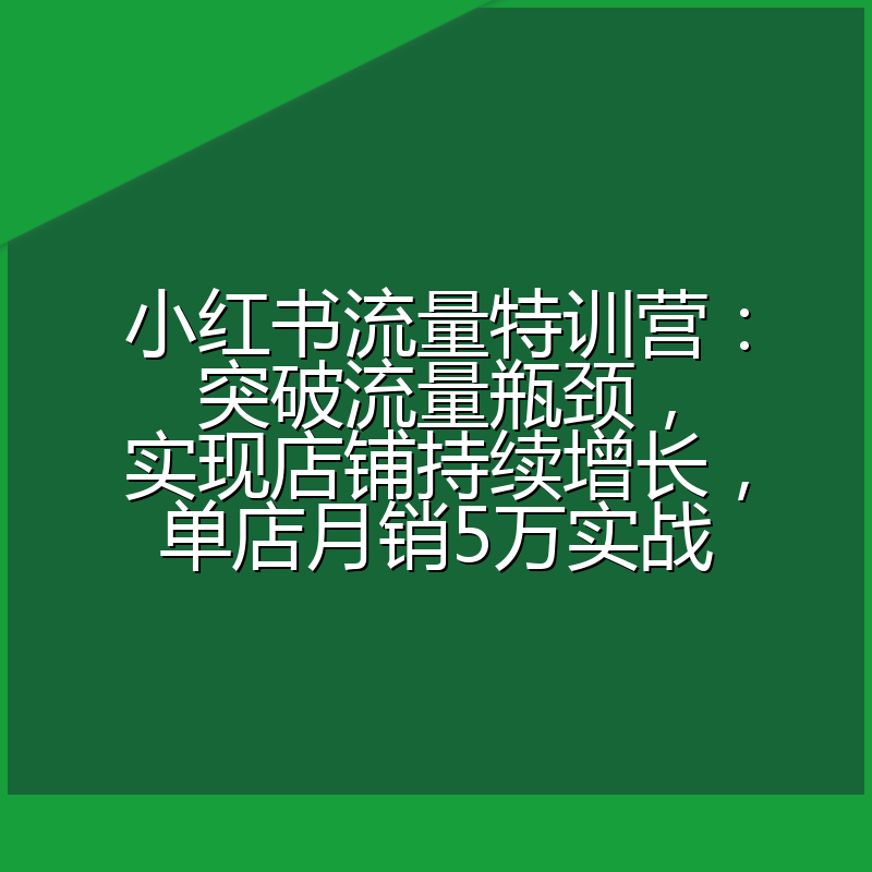小红书流量特训营：突破流量瓶颈，实现店铺持续增长，单店月销5万实战