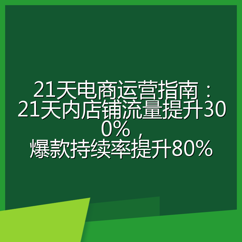 21天电商运营指南:21天内店铺流量提升300%,爆款持续率提升80%