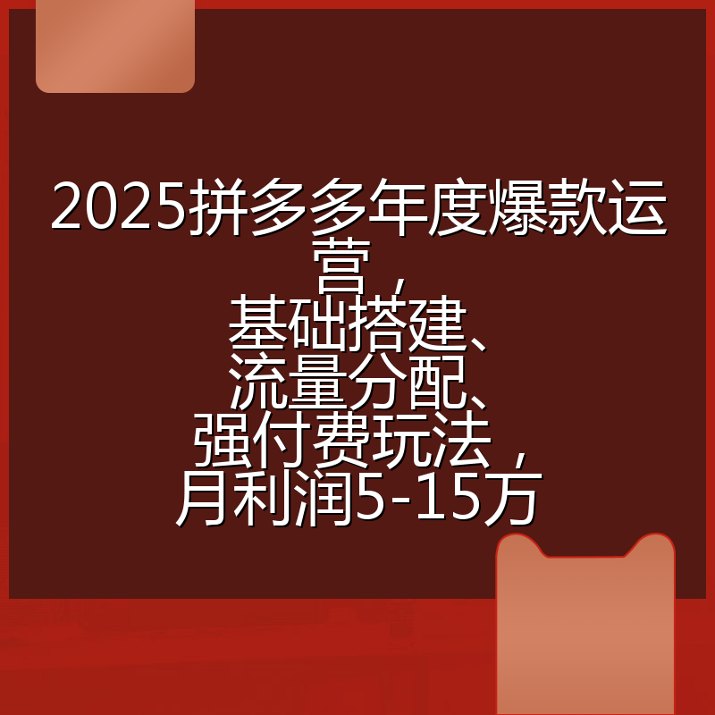 2025拼多多年度爆款运营，基础搭建、流量分配、强付费玩法，月利润5-15万