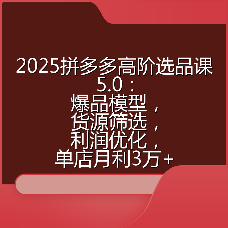 2025拼多多高阶选品课5.0:爆品模型,货源筛选,利润优化,单店月利3万+
