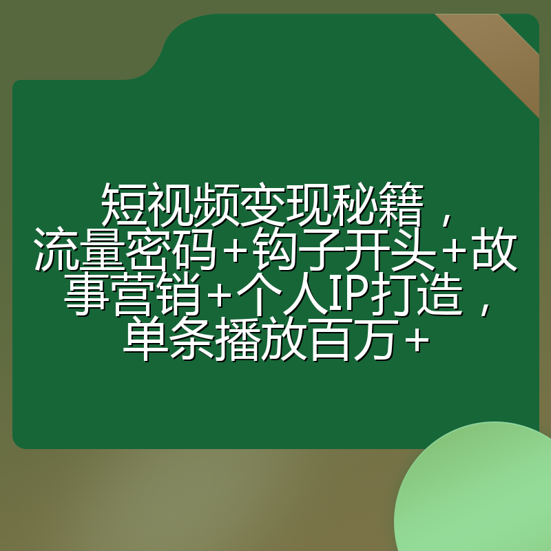 短视频变现秘籍，流量密码+钩子开头+故事营销+个人IP打造，单条播放百万+