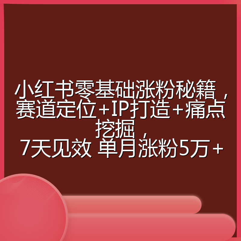 小红书零基础涨粉秘籍，赛道定位+IP打造+痛点挖掘，7天见效 单月涨粉5万+