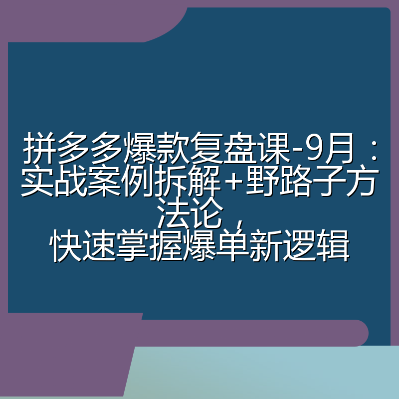 拼多多爆款复盘课-9月：实战案例拆解+野路子方法论，快速掌握爆单新逻辑