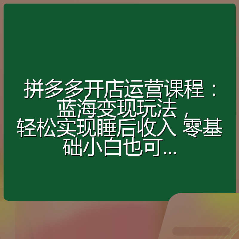 拼多多开店运营课程： 蓝海变现玩法，轻松实现睡后收入 零基础小白也可...