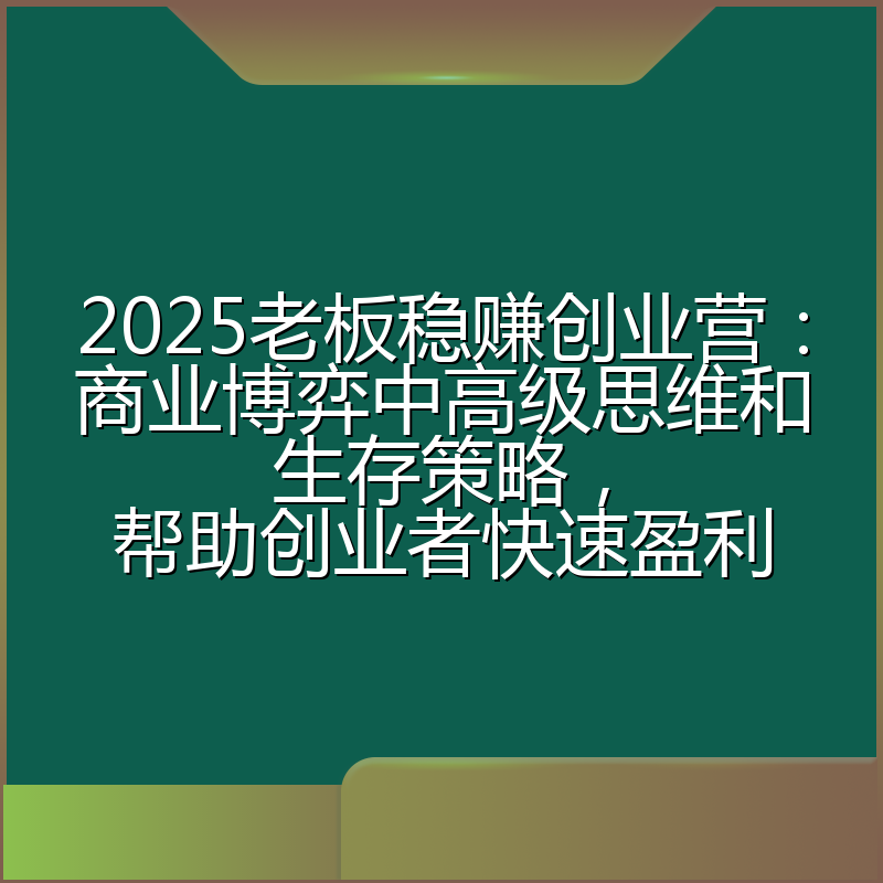 2025老板稳赚创业营：商业博弈中高级思维和生存策略，帮助创业者快速盈利