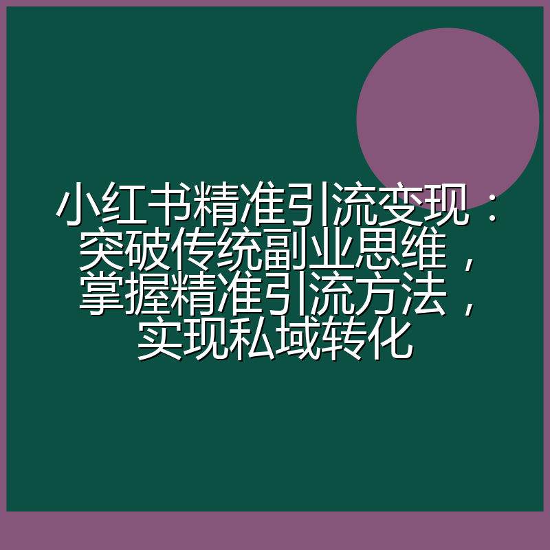 小红书精准引流变现：突破传统副业思维，掌握精准引流方法，实现私域转化