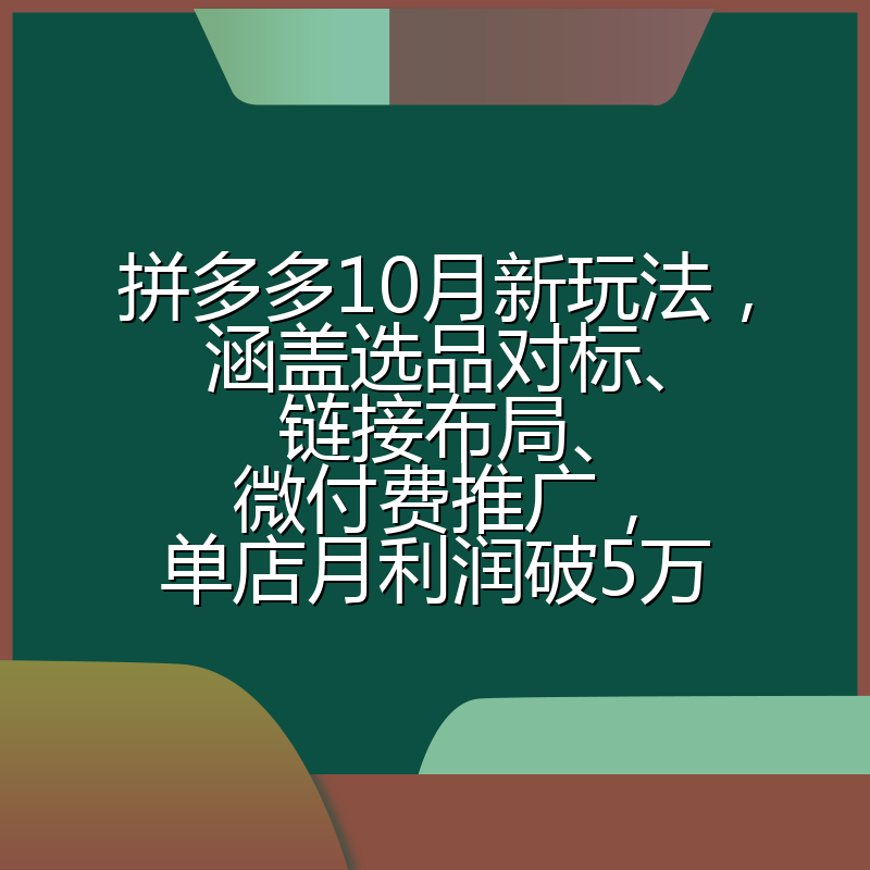 拼多多10月新玩法，涵盖选品对标、链接布局、微付费推广，单店月利润破5万