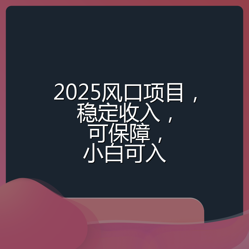 2025风口项目，稳定收入，可保障，小白可入