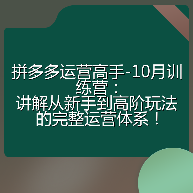 拼多多运营高手-10月训练营:讲解从新手到高阶玩法的完整运营体系!