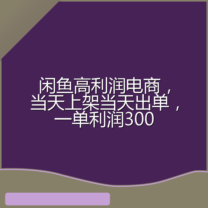 闲鱼高利润电商，当天上架当天出单，一单利润300