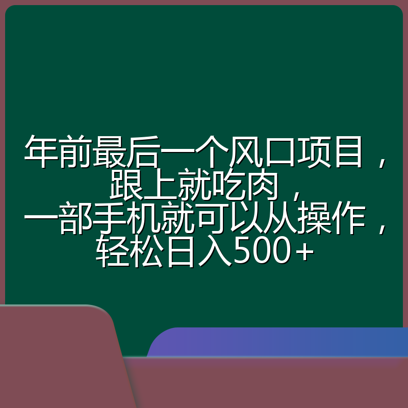 年前最后一个风口项目，跟上就吃肉，一部手机就可以从操作，轻松日入500+