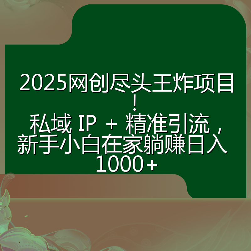 2025网创尽头王炸项目！私域 IP + 精准引流，新手小白在家躺赚日入 1000+