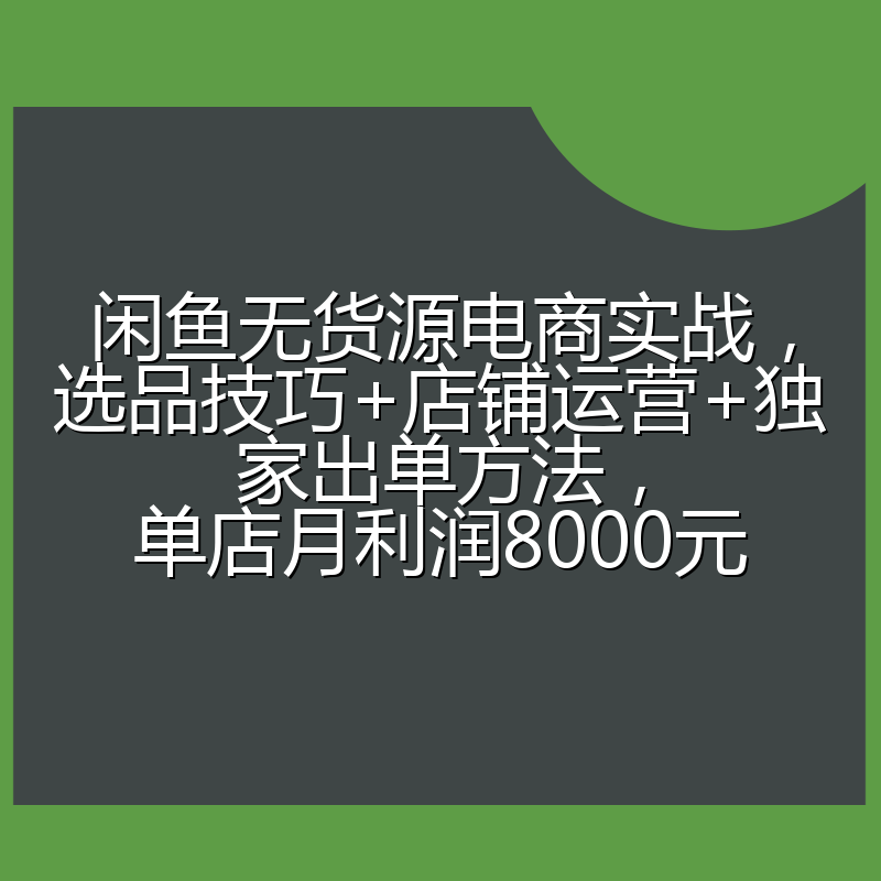 闲鱼无货源电商实战，选品技巧+店铺运营+独家出单方法，单店月利润8000元