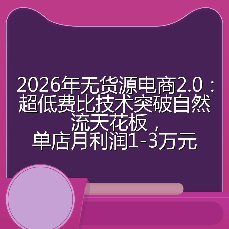 2026年无货源电商2.0：超低费比技术突破自然流天花板，单店月利润1-3万元