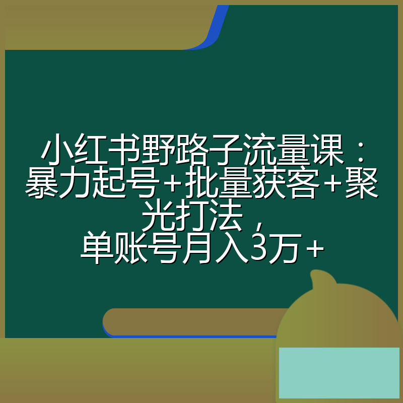 小红书野路子流量课：暴力起号+批量获客+聚光打法，单账号月入3万+