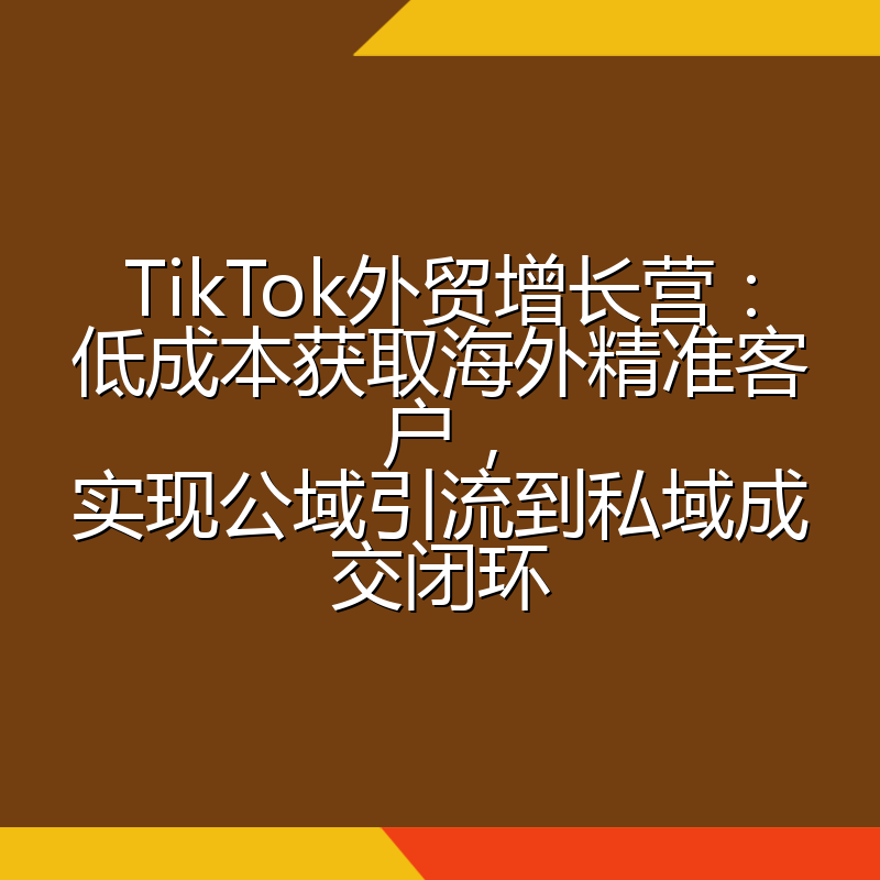 TikTok外贸增长营:低成本获取海外精准客户,实现公域引流到私域成交闭环