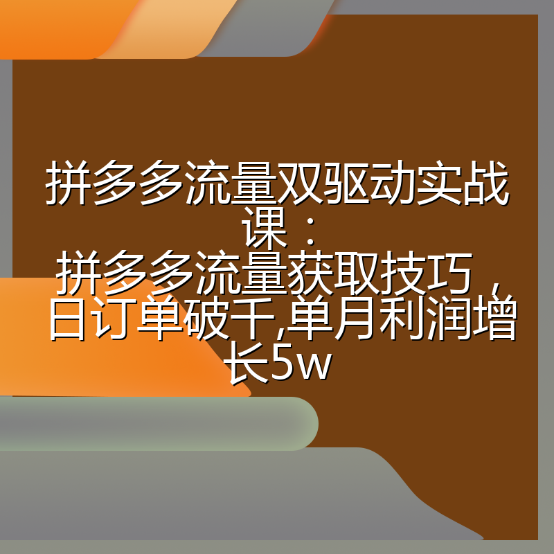 拼多多流量双驱动实战课:拼多多流量获取技巧,日订单破千,单月利润增长5w