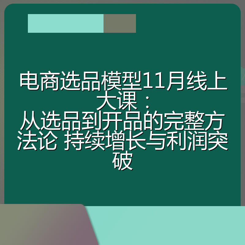 电商选品模型11月线上大课:从选品到开品的完整方法论 持续增长与利润突破