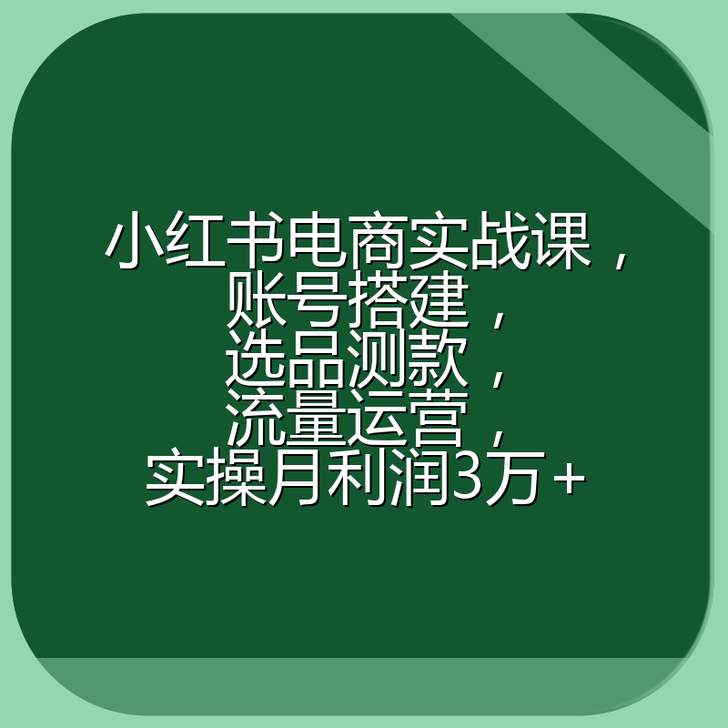 小红书电商实战课，账号搭建，选品测款，流量运营，实操月利润3万+