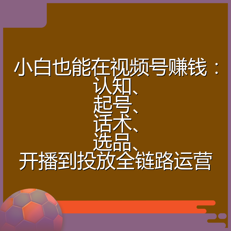 小白也能在视频号赚钱：认知、起号、话术、选品、开播到投放全链路运营