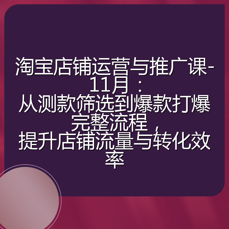 淘宝店铺运营与推广课-11月：从测款筛选到爆款打爆完整流程，提升店铺流量与转化效率