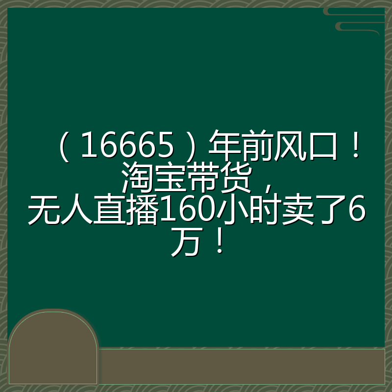 （16665）年前风口！淘宝带货，无人直播160小时卖了6万！