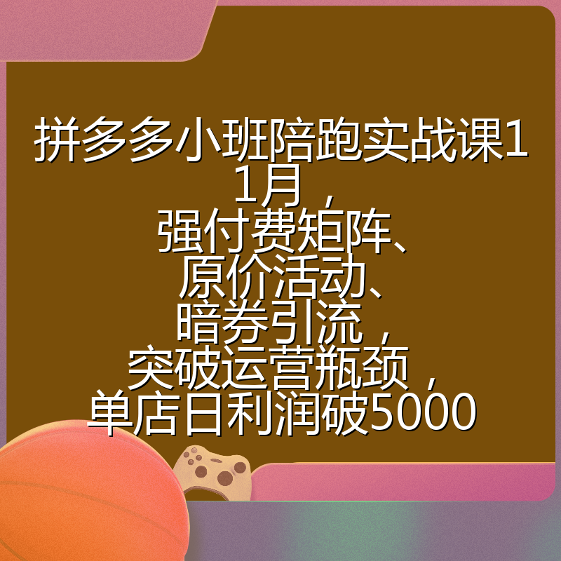 拼多多小班陪跑实战课11月，强付费矩阵、原价活动、暗券引流，突破运营瓶颈，单店日利润破5000