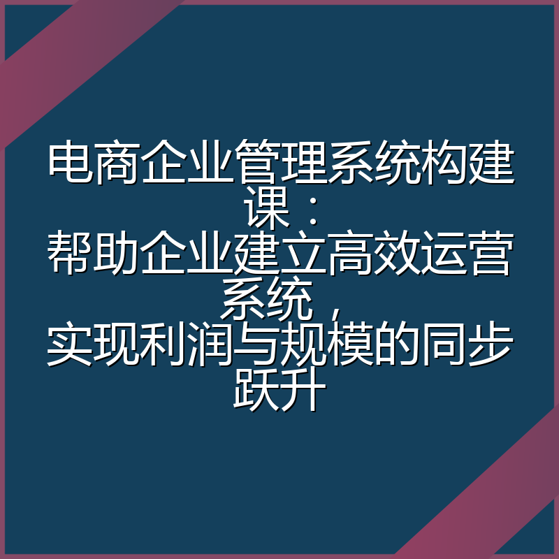 电商企业管理系统构建课：帮助企业建立高效运营系统，实现利润与规模的同步跃升