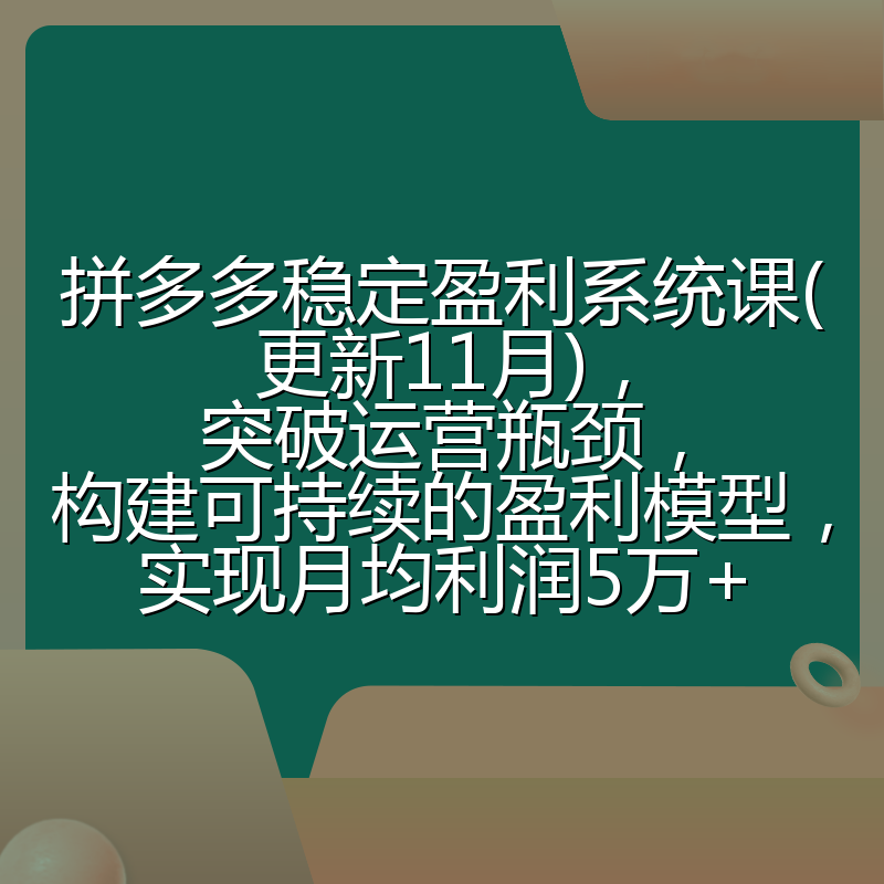 拼多多稳定盈利系统课(更新11月)，突破运营瓶颈，构建可持续的盈利模型，实现月均利润5万+