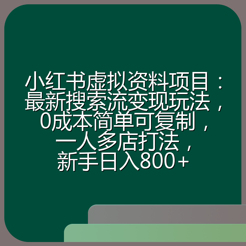 小红书虚拟资料项目:最新搜索流变现玩法,0成本简单可复制,一人多店打法,新手日入800+
